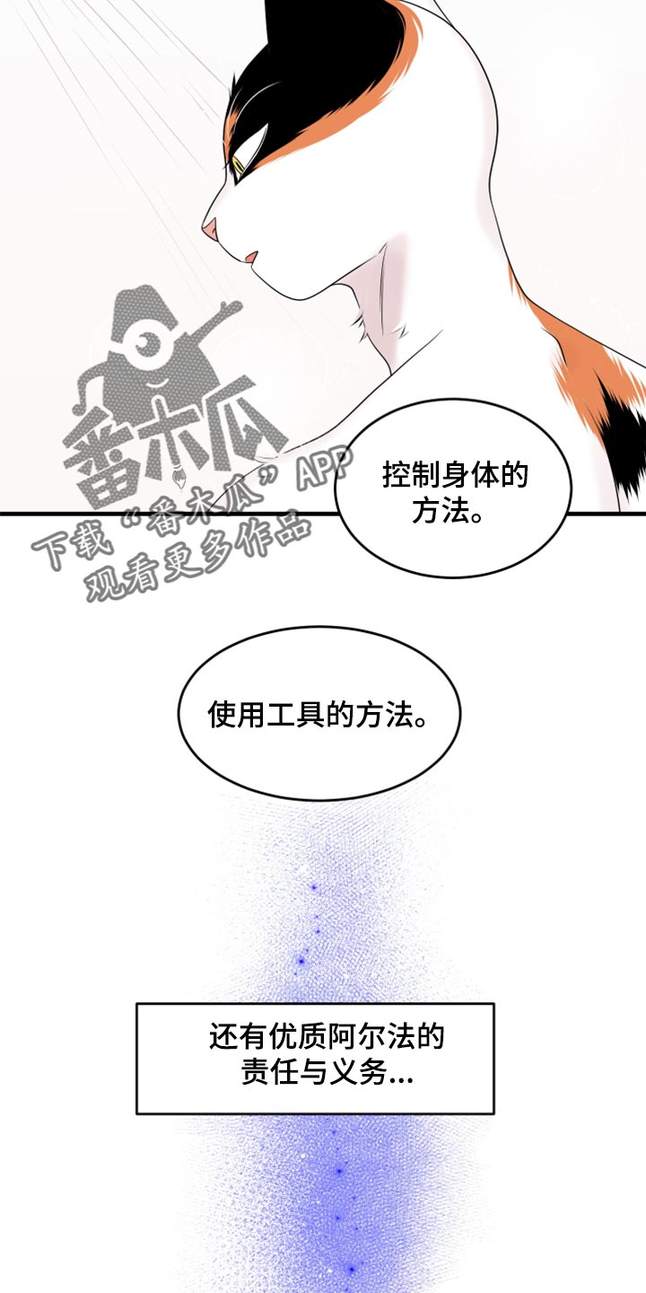 欧米伽3对猫咪有什么作用漫画,第69章：【第二季】责任与义务2图