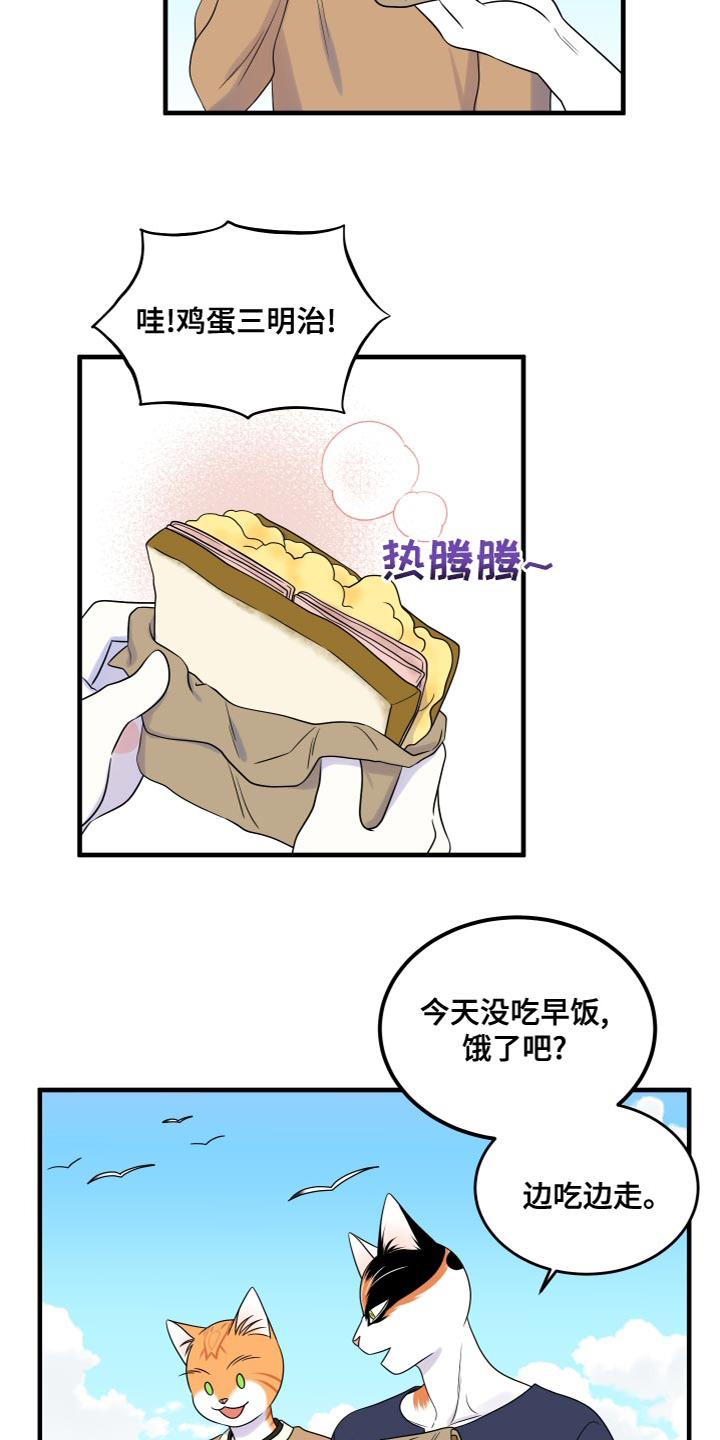 灵猫欧米茄画涯漫画,第94章：【第二季】三明治1图