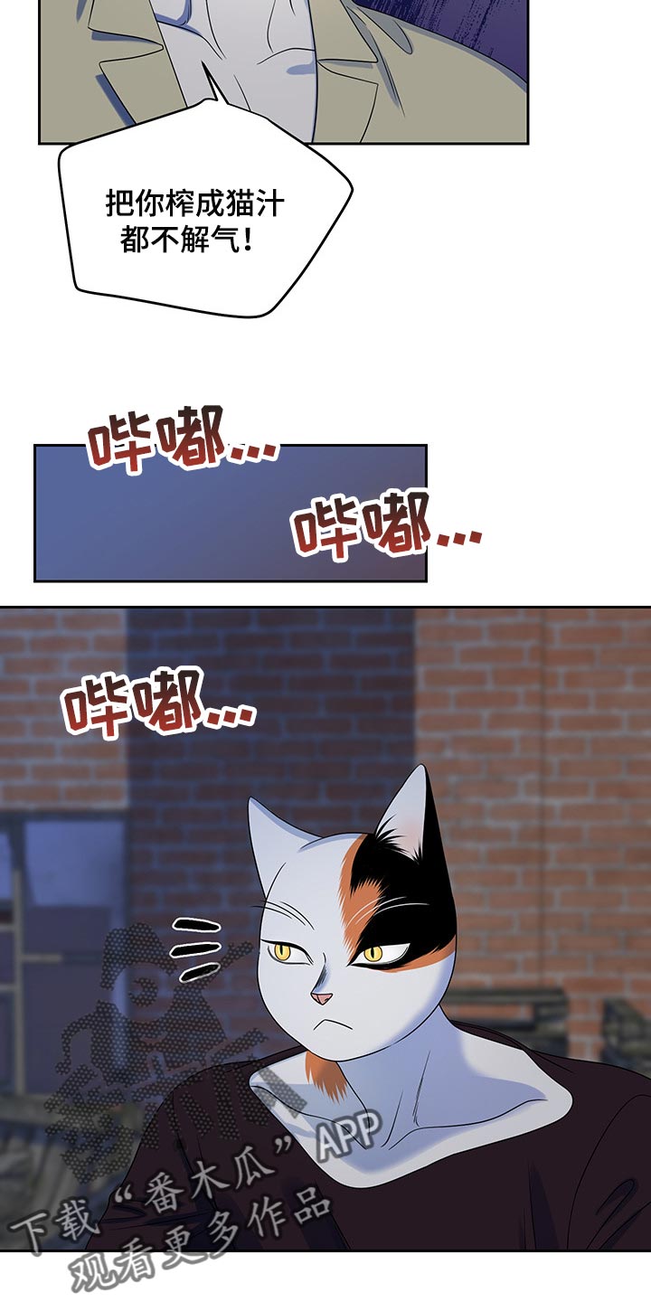 灵猫欧米伽漫画全集免费观看漫画,第39章：撤离1图