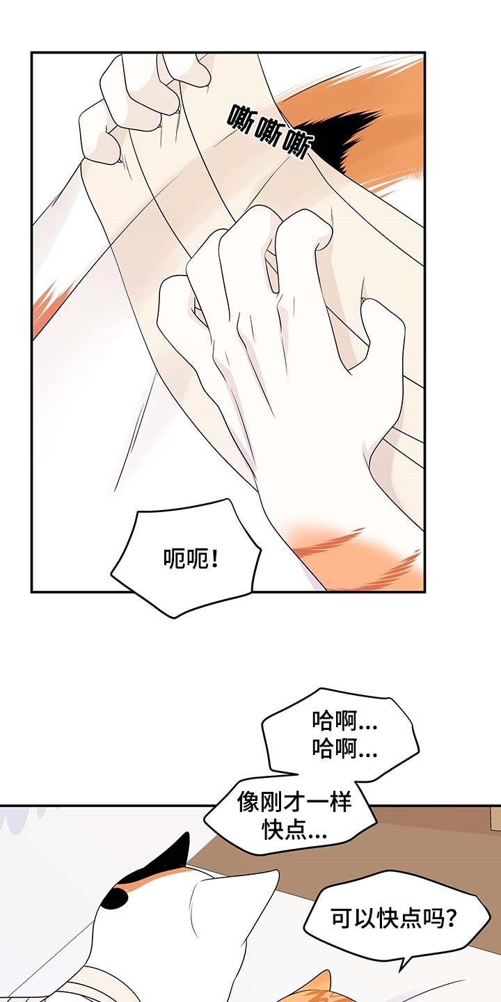 灵猫传陆知也漫画,第47章：好好看着你1图