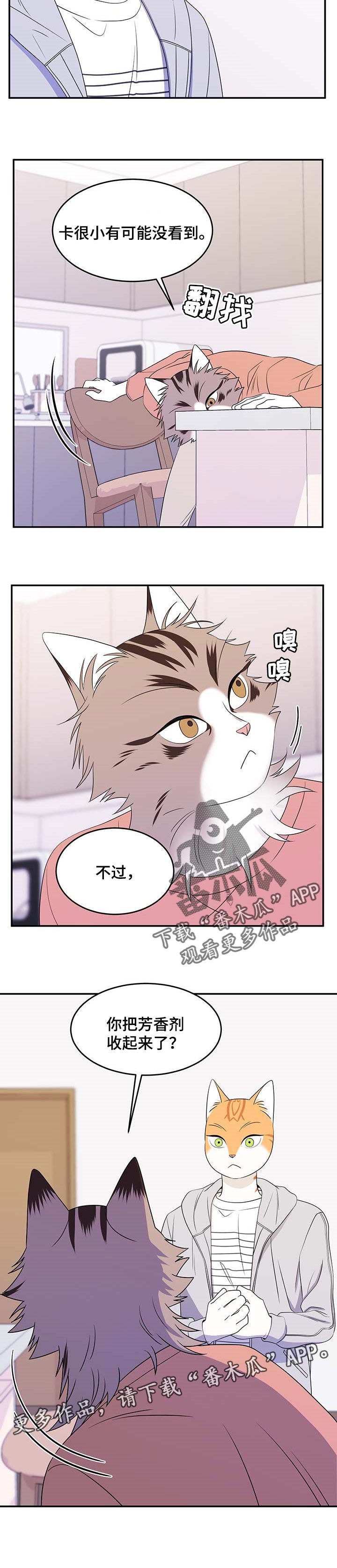 灵猫欧米伽第三季什么时候出漫画,第18章：芳香剂2图