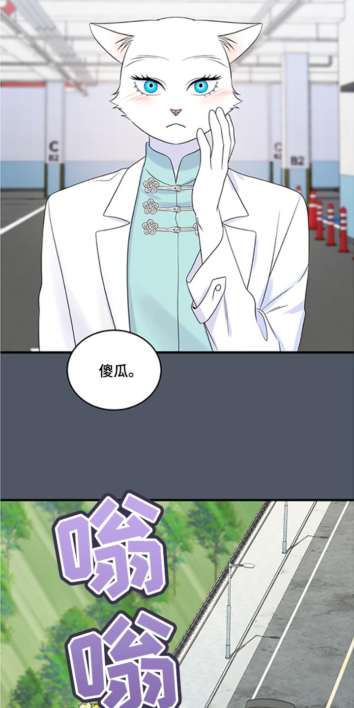 灵猫是什么动物漫画,第79章：【第二季】傻瓜2图