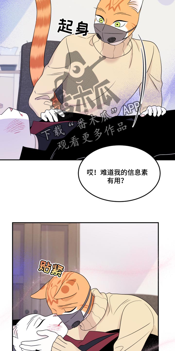 灵猫欧米伽动漫漫画,第51章：决定1图