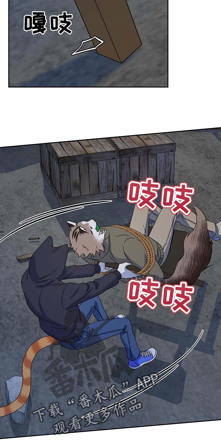 灵猫欧米伽又叫什么漫画,第38章：罪有应得2图