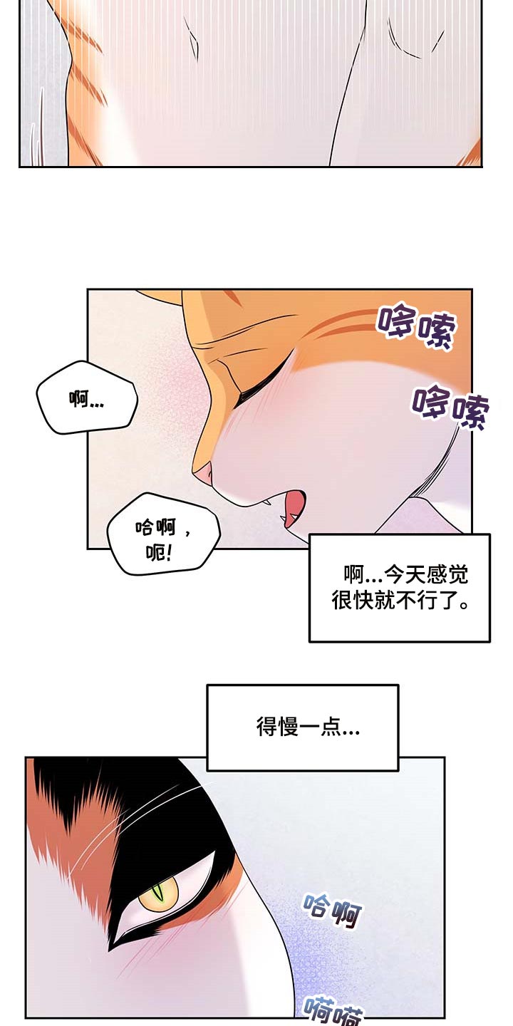 灵猫欧米伽漫画作者漫画,第46章：征服2图