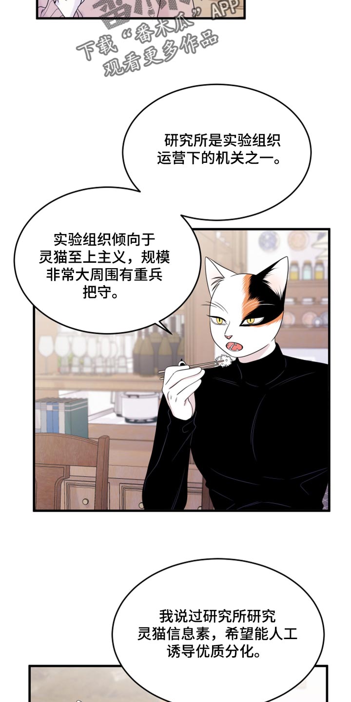 omega猫漫画,第73章：【第二季】绑架灵猫1图