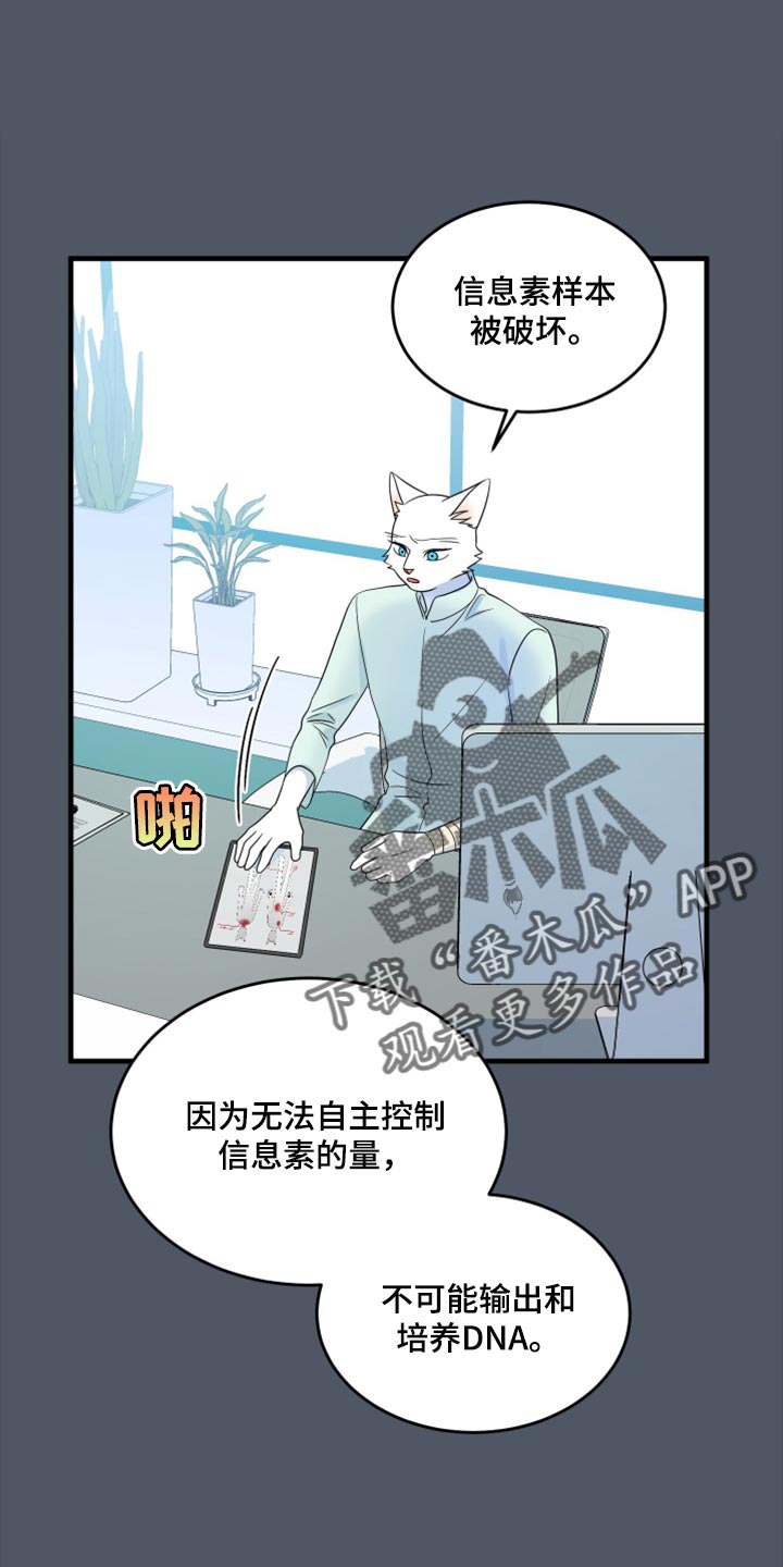 灵猫欧米伽免费阅读漫画,第86章：【第二季】忍耐1图