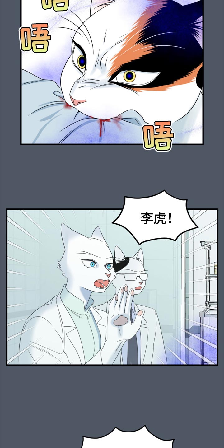 灵猫欧米伽视频漫画,第85章：【第二季】失控1图