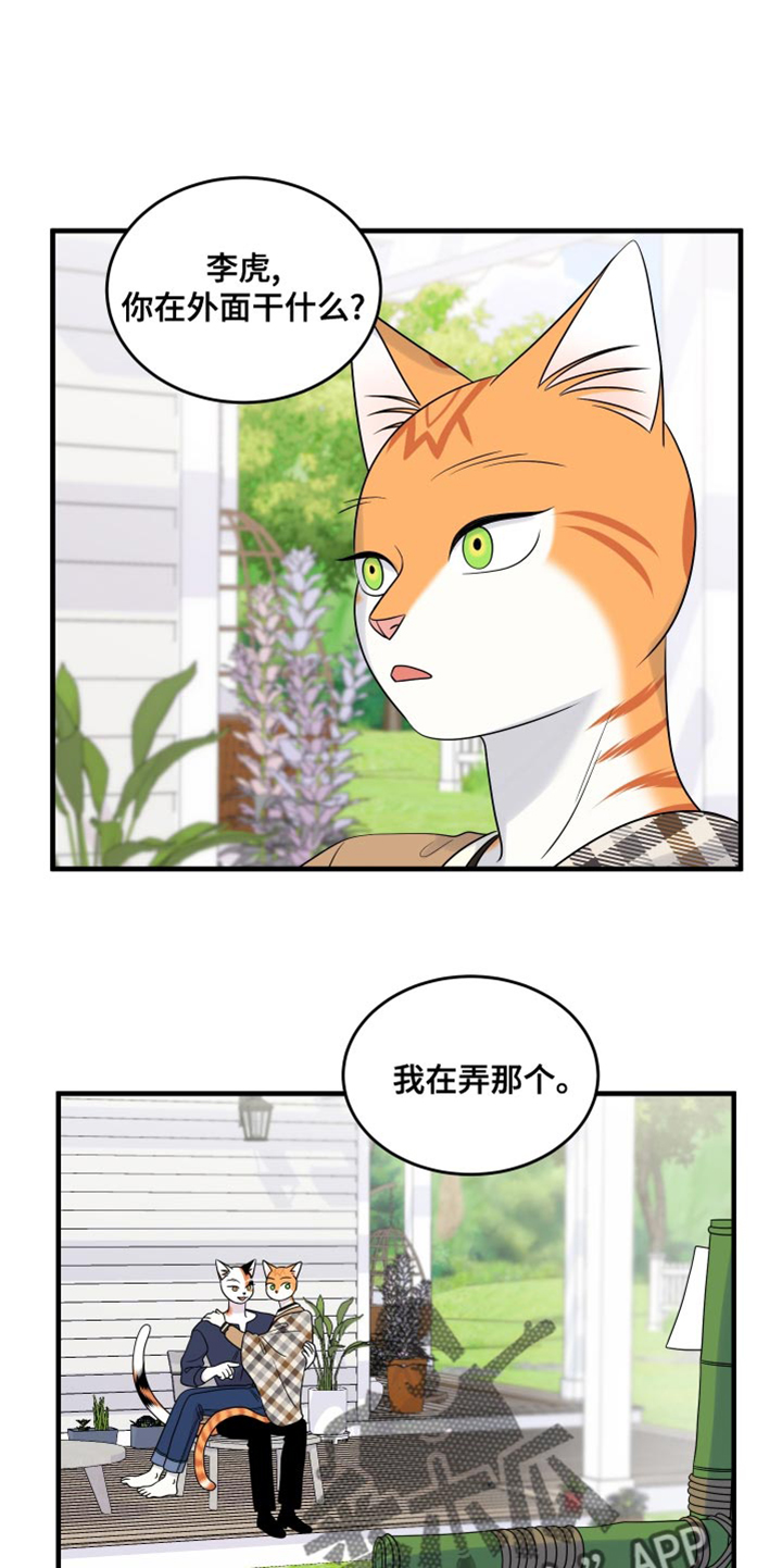 灵猫是什么动物漫画,第98章：【第二季】想回去1图