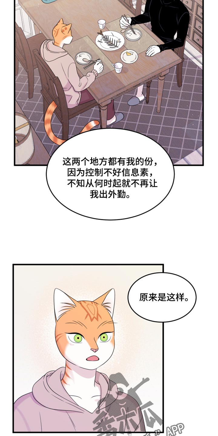 omega猫漫画,第73章：【第二季】绑架灵猫1图