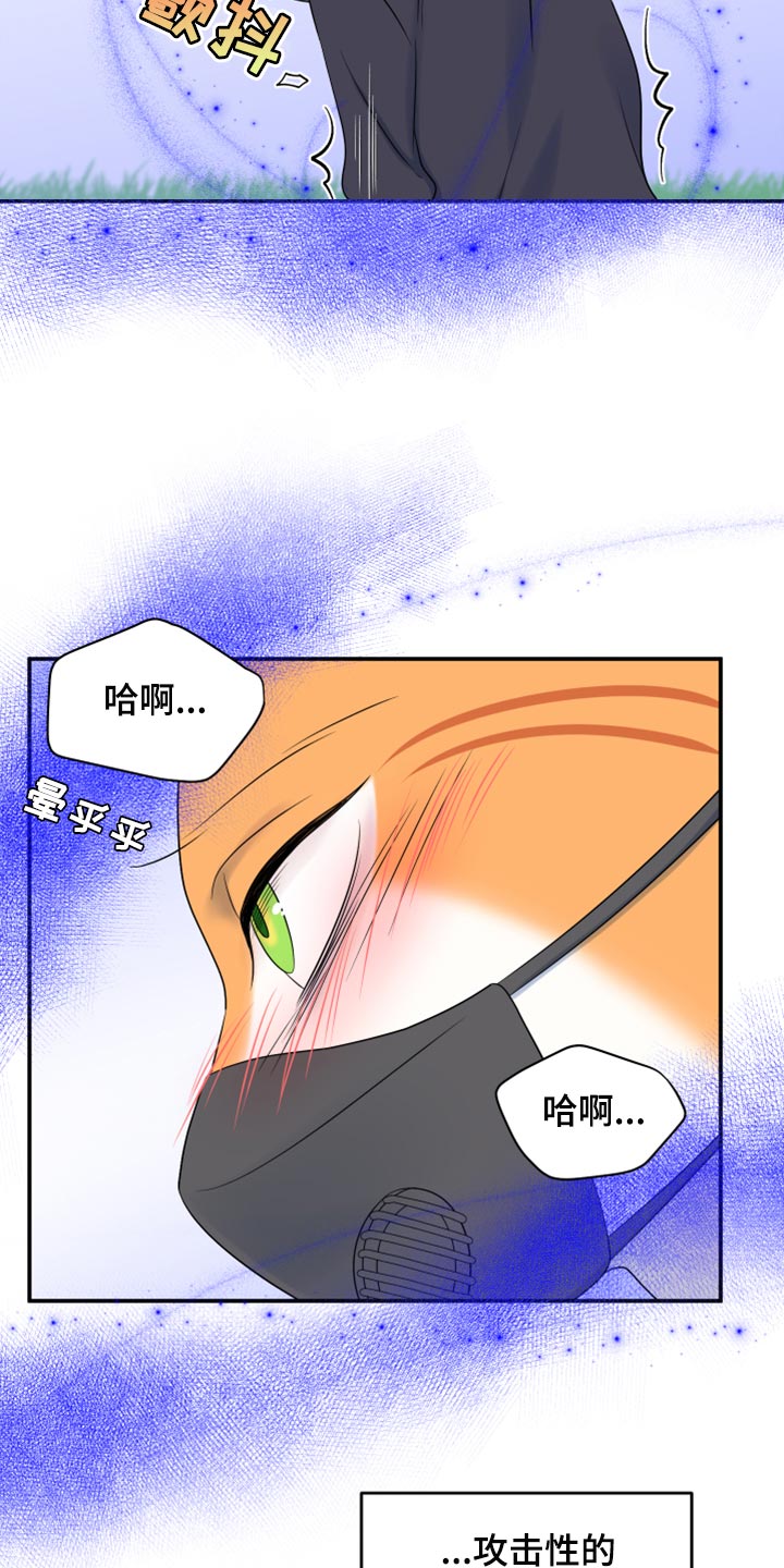 灵猫欧米伽最新话漫画,第63章：【第二季】眼睛还是没变1图