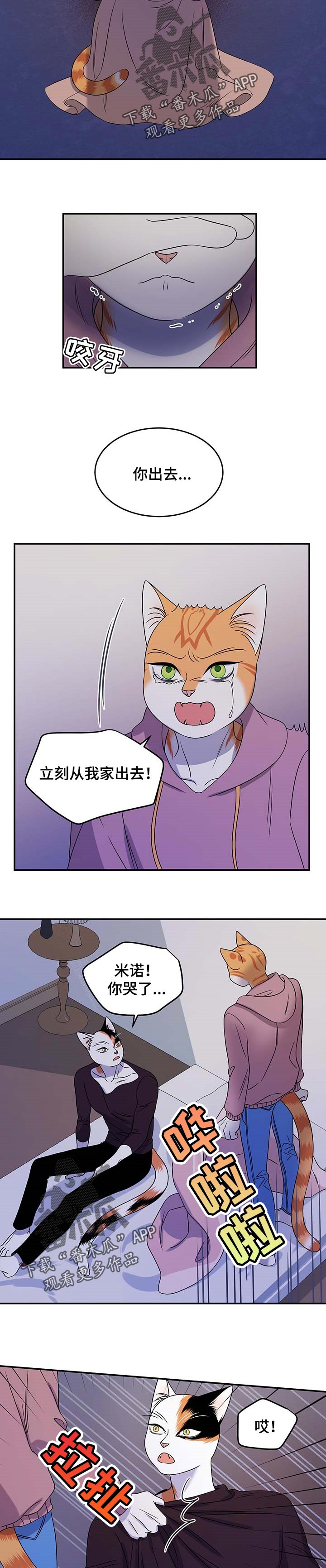 灵猫欧米伽漫画在线观看画涯漫画,第32章：不想见到你1图