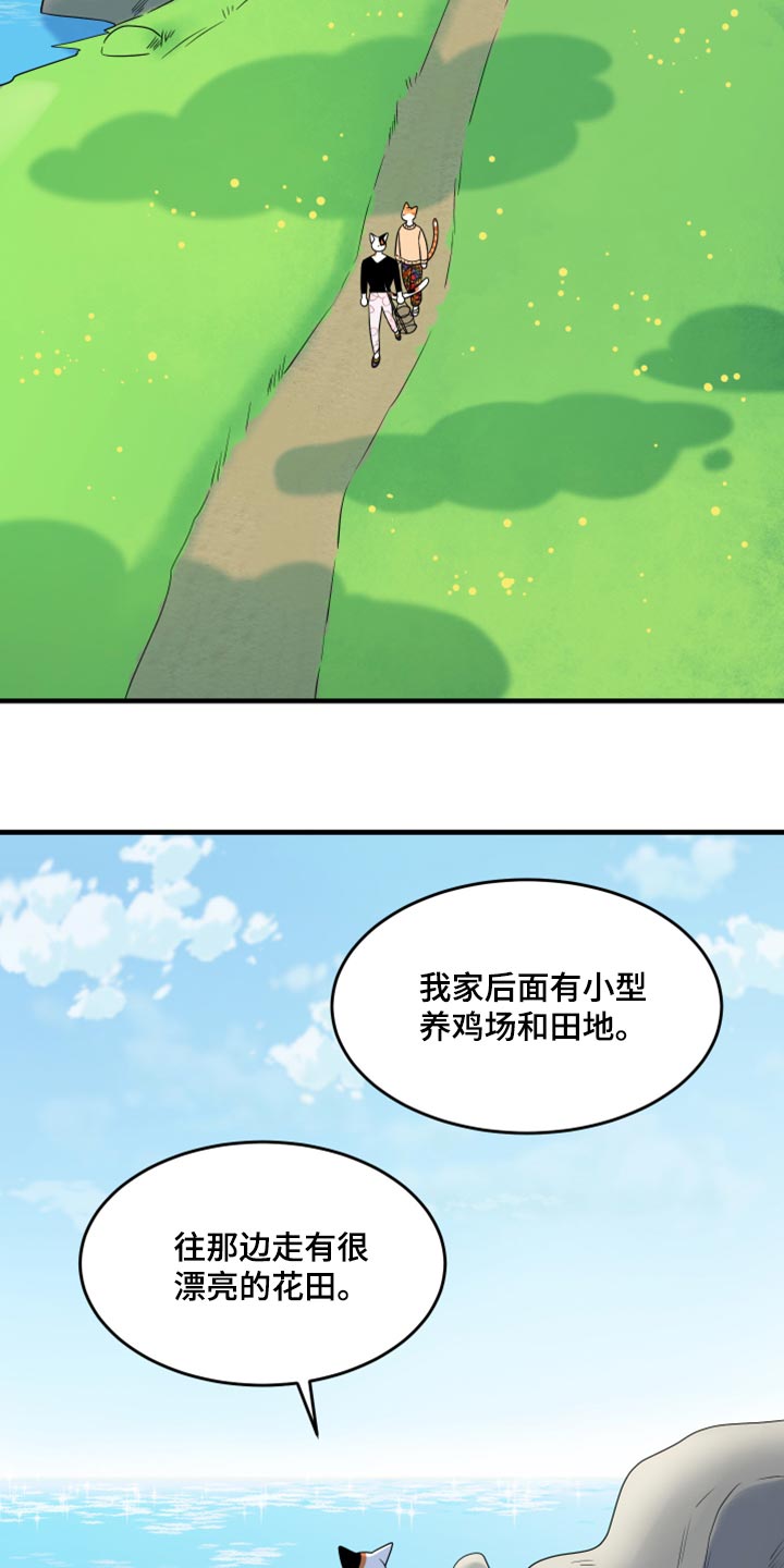 灵猫欧米伽什么时候更新第三季漫画,第67章：【第二季】钓鱼2图