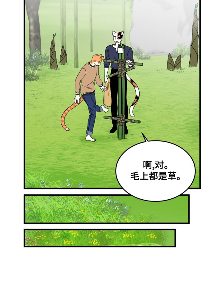 灵猫欧米伽漫画免费阅读漫画,第98章：【第二季】想回去1图