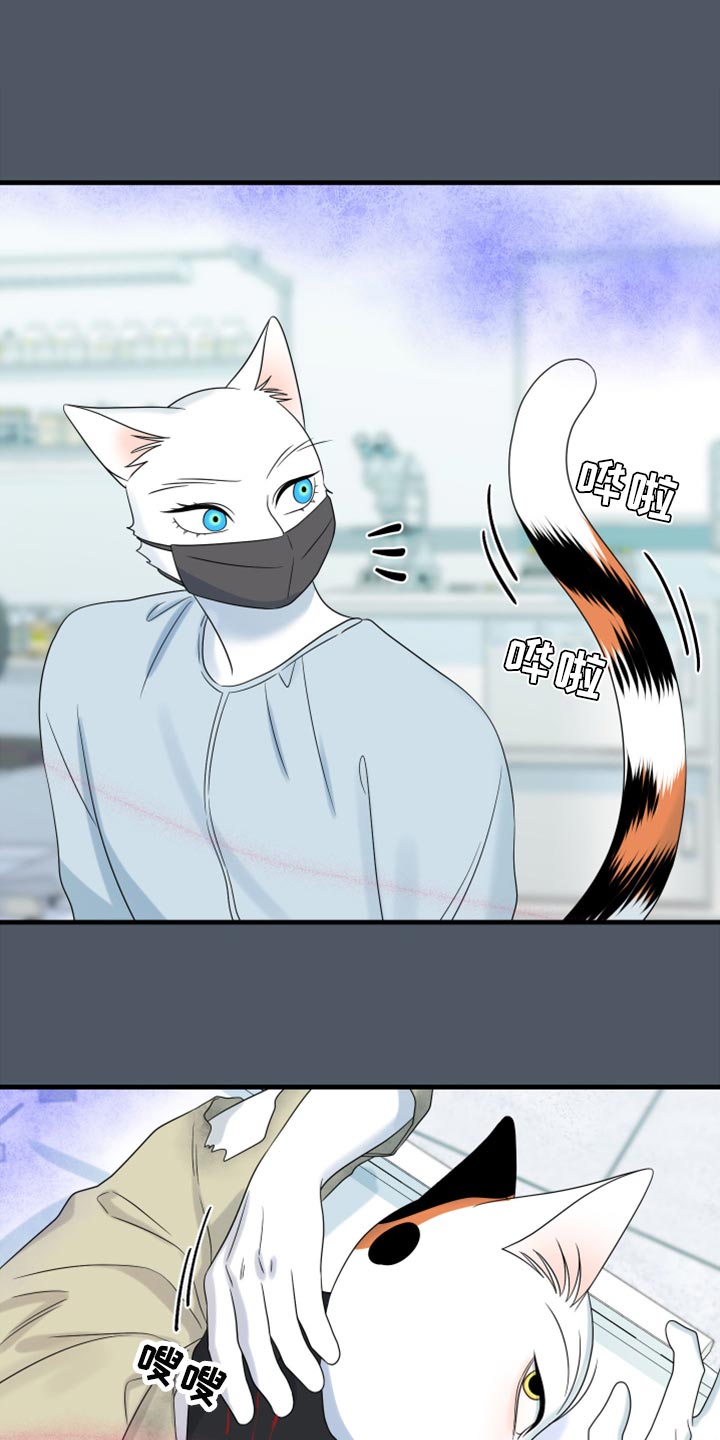 灵猫欧米伽视频漫画,第85章：【第二季】失控1图