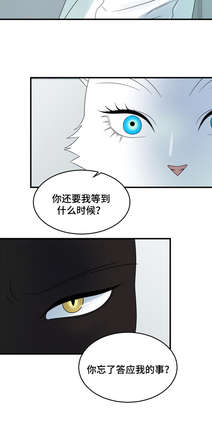 灵猫欧米伽漫画全集免费下拉式漫画,第58章：【第二季】总有一天会回来2图