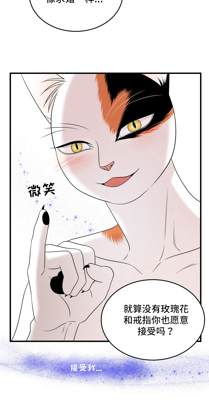 灵猫欧米伽漫画免费阅读漫画,第106章：【第二季】求婚1图