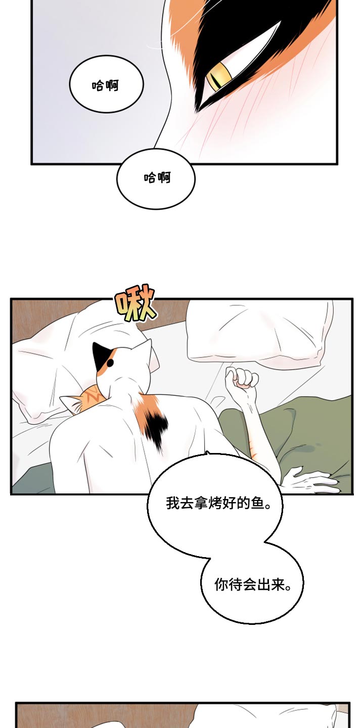 灵猫欧米伽2漫画,第73章：【第二季】绑架灵猫2图