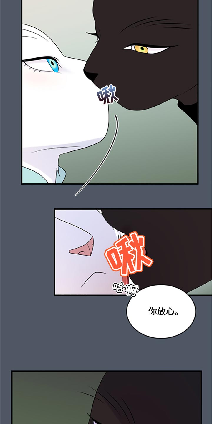 欧米伽3对猫咪有什么作用漫画,第79章：【第二季】傻瓜1图