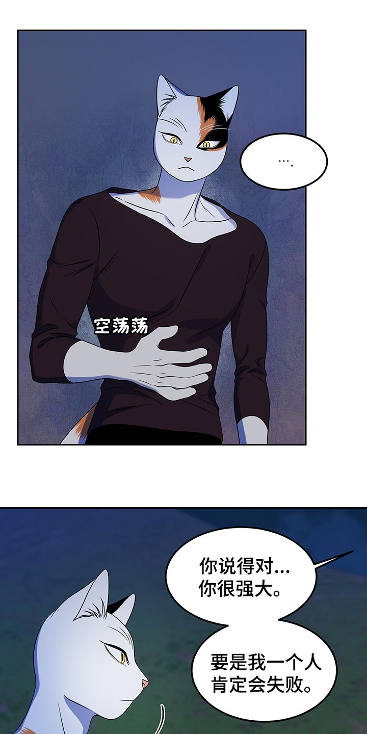 灵猫欧米伽合集漫画,第40章：平凡的生活2图