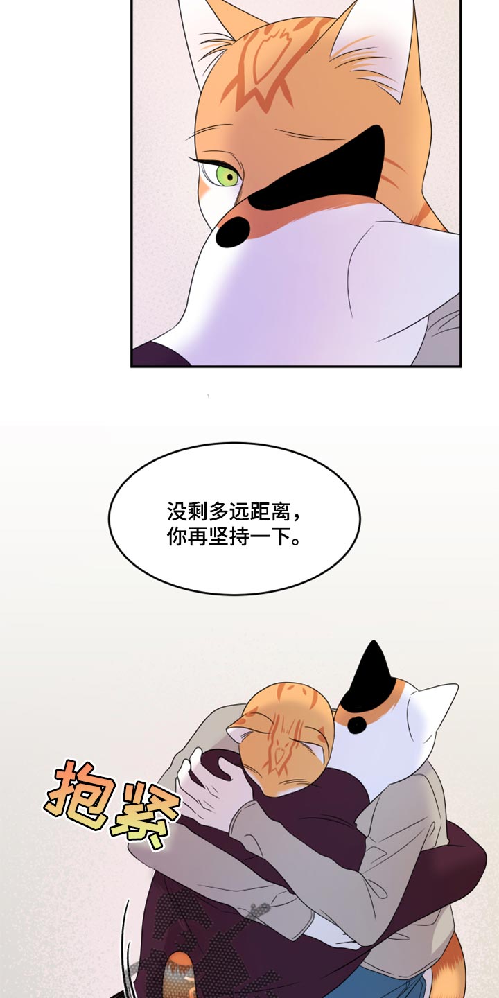 灵猫欧米伽漫画在线观看画涯漫画,第55章：【第二季】你再坚持一下1图