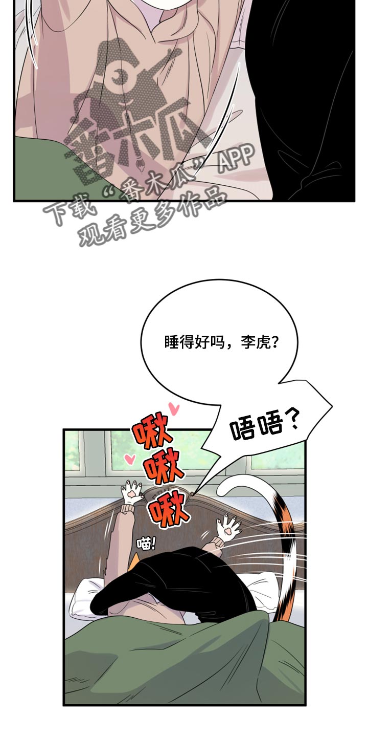 灵猫科和猫科的区别漫画,第87章：【第二季】学习防身术2图