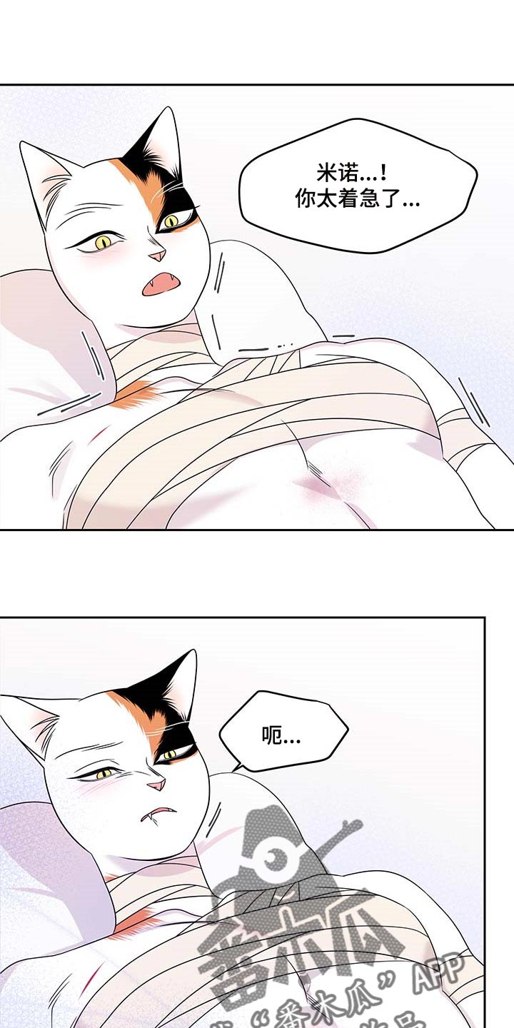 灵猫欧米伽漫画作者漫画,第46章：征服2图