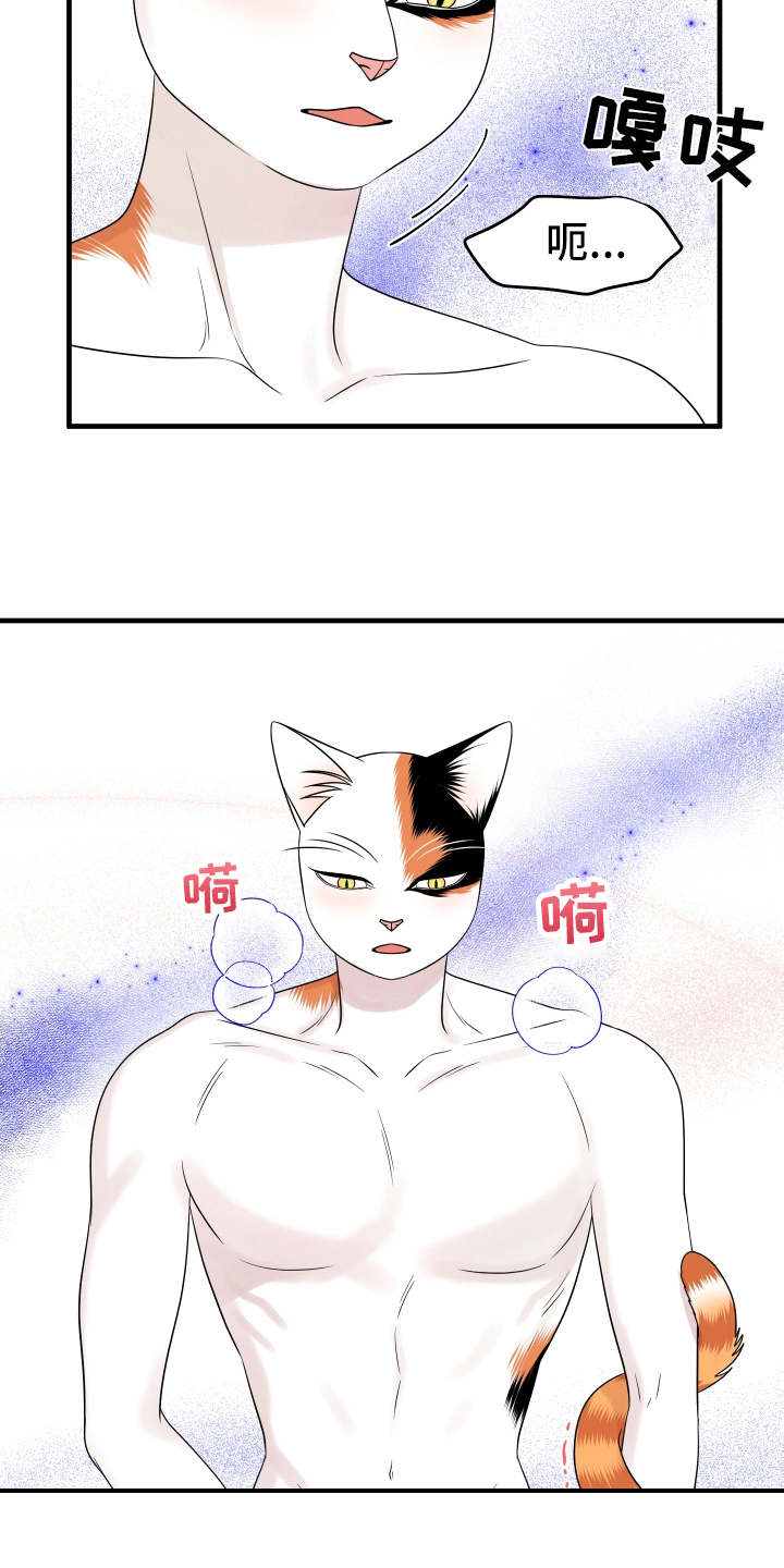 灵猫欧米伽在哪里免费看漫画,第105章：【第二季】分析1图