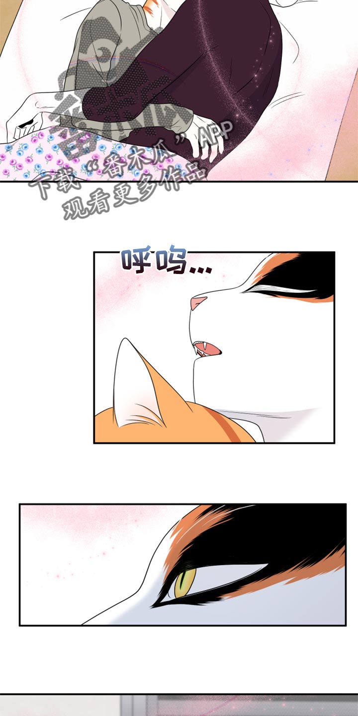 灵猫欧米伽漫画,第54章：【第二季】你要丢下我?2图