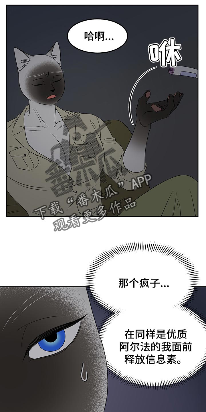 灵猫苏苏漫画,第40章：平凡的生活2图