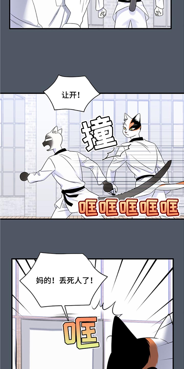 灵猫是什么动物漫画,第77章：【第二季】一定要在一起！1图