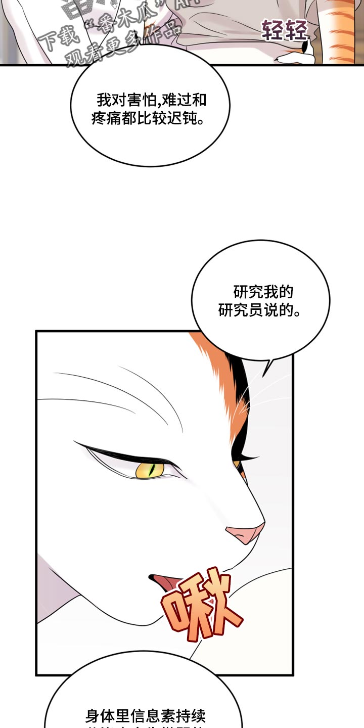 灵猫欧米伽漫蛙叫什么漫画,第91章：【第二季】暴走之前2图