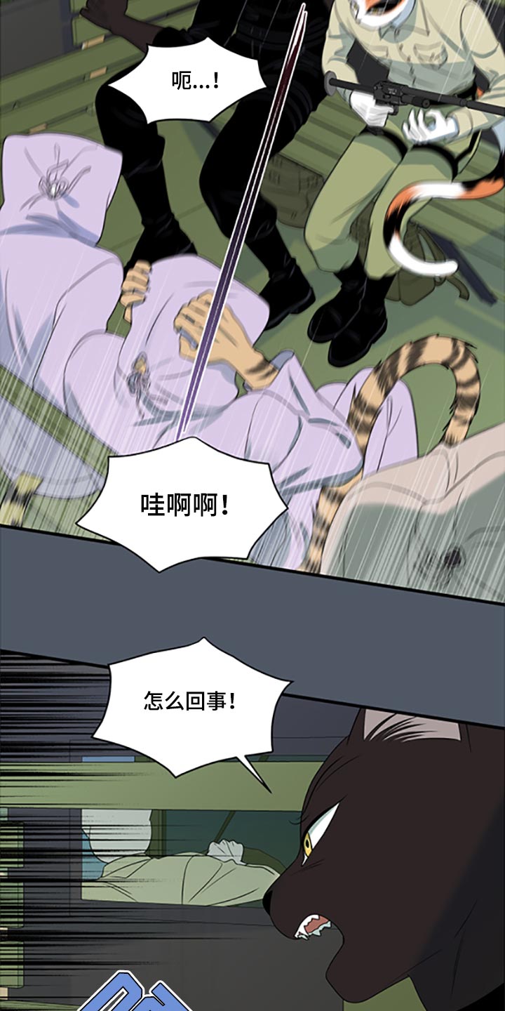 灵猫欧米伽免费阅读漫画,第80章：【第二季】理所应当做的事1图