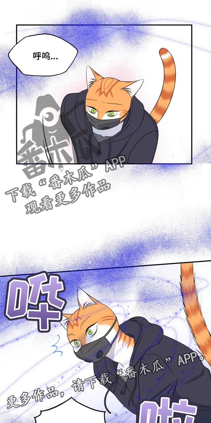 灵猫护塔漫画,第62章：【第二季】撑过这一次就行2图