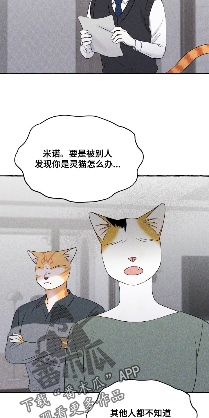 灵猫欧米伽又叫什么漫画,第97章：【第二季】噩梦2图