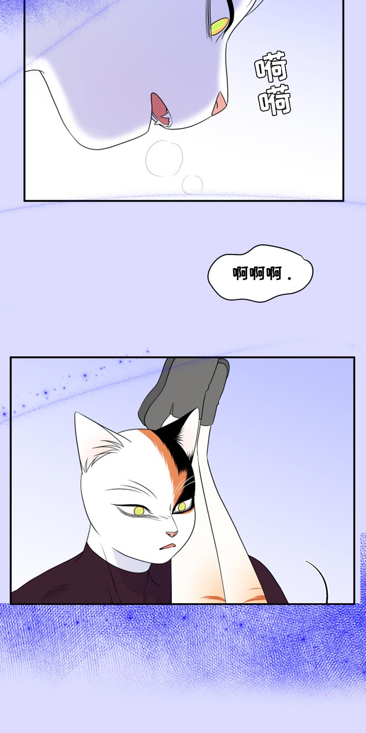 灵猫欧米伽什么时候更新第三季漫画,第64章：【第二季】恢复意识1图