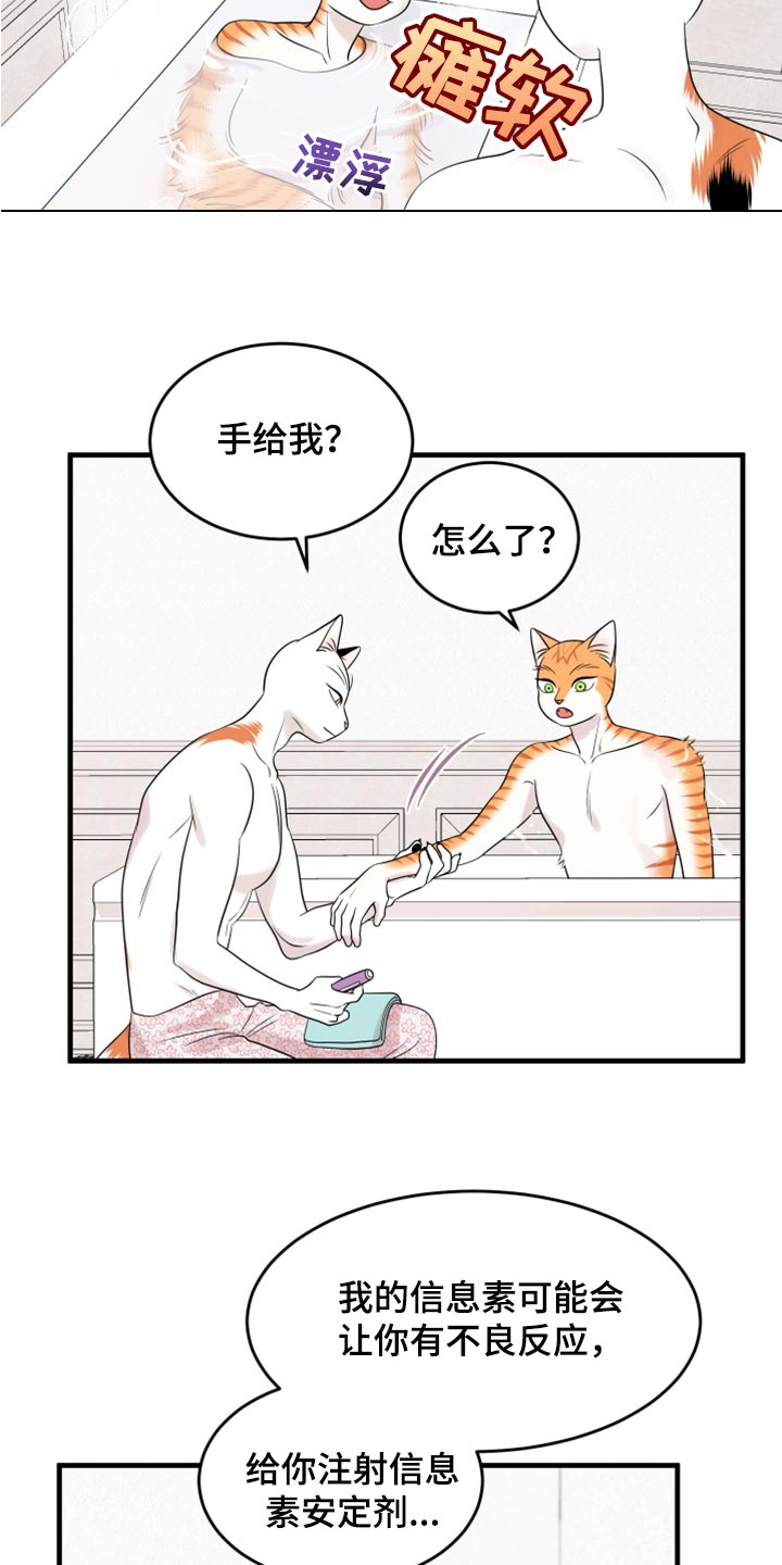 灵猫欧米迦漫画,第69章：【第二季】责任与义务2图