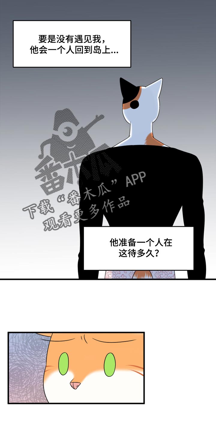 灵猫欧米伽漫画,第67章：【第二季】钓鱼2图