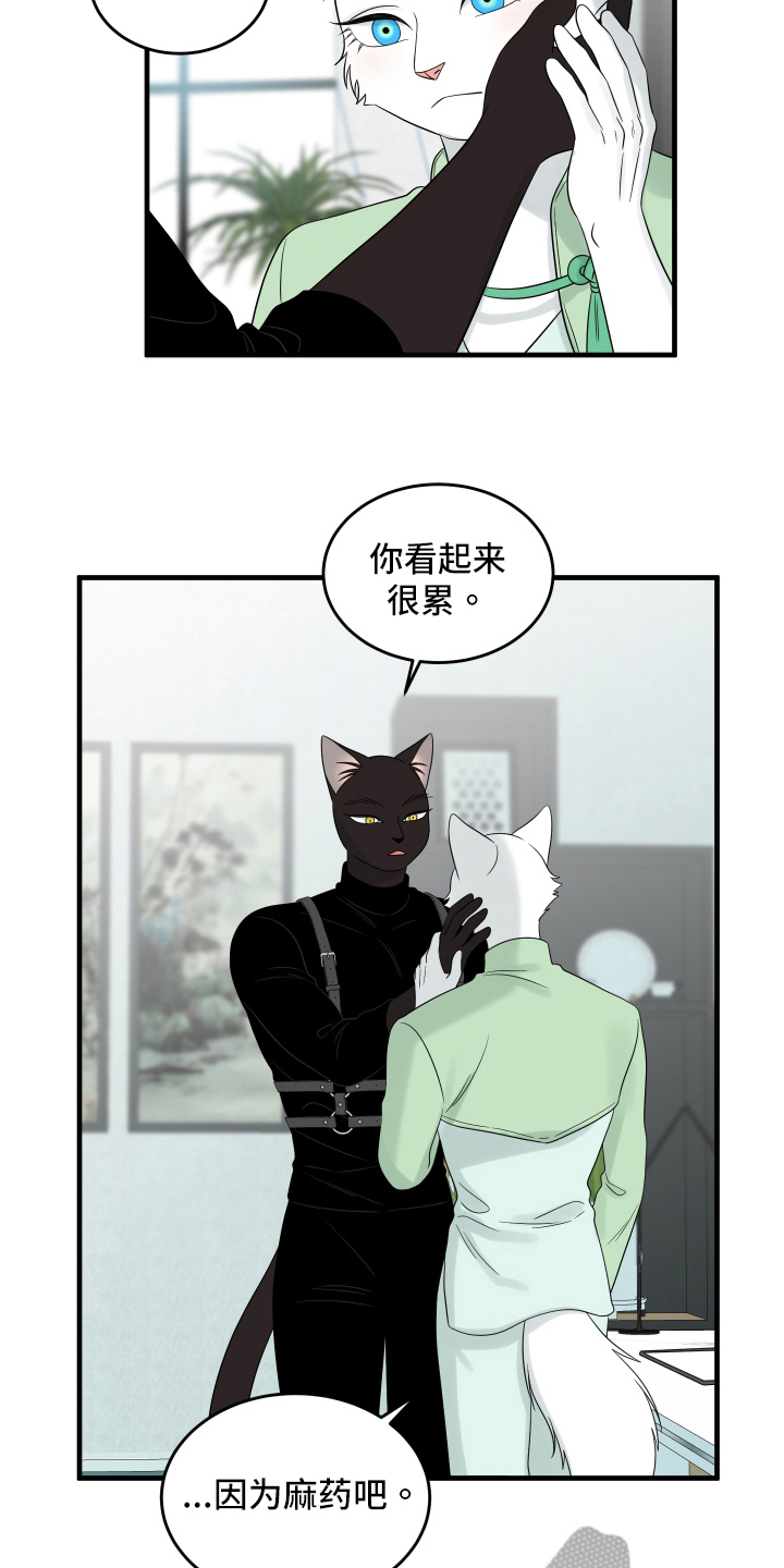 灵猫动漫漫画,第107章：【第二季】单纯1图