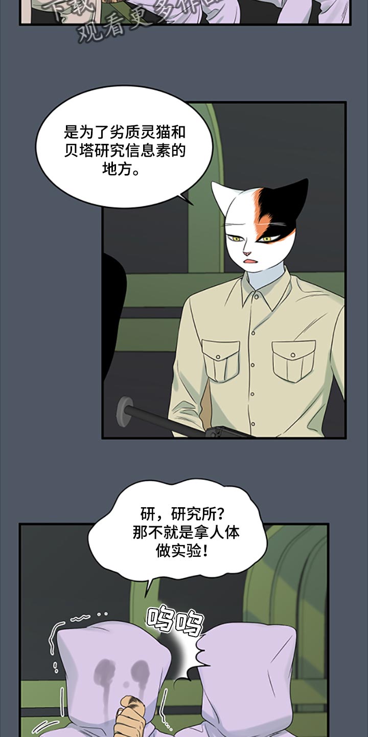 灵猫欧米伽漫画全集免费观看漫画,第80章：【第二季】理所应当做的事2图