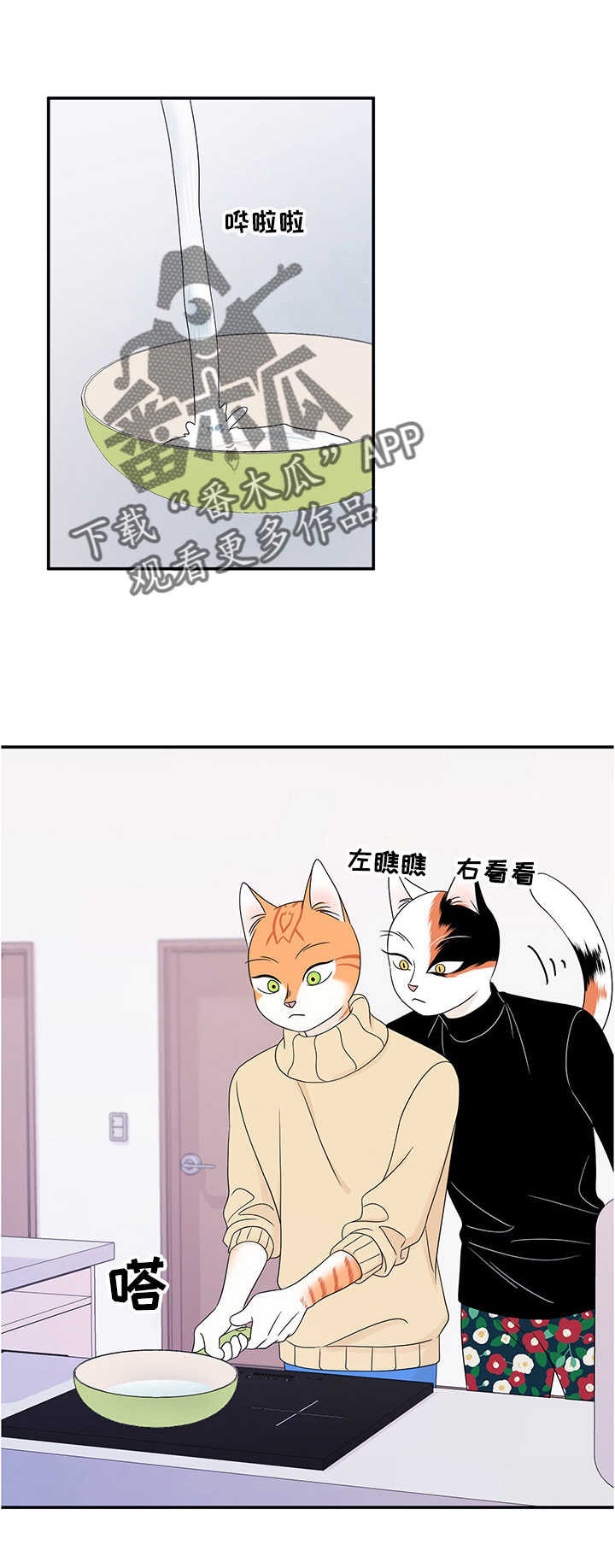 灵猫欧米伽漫画,第10章：期待2图