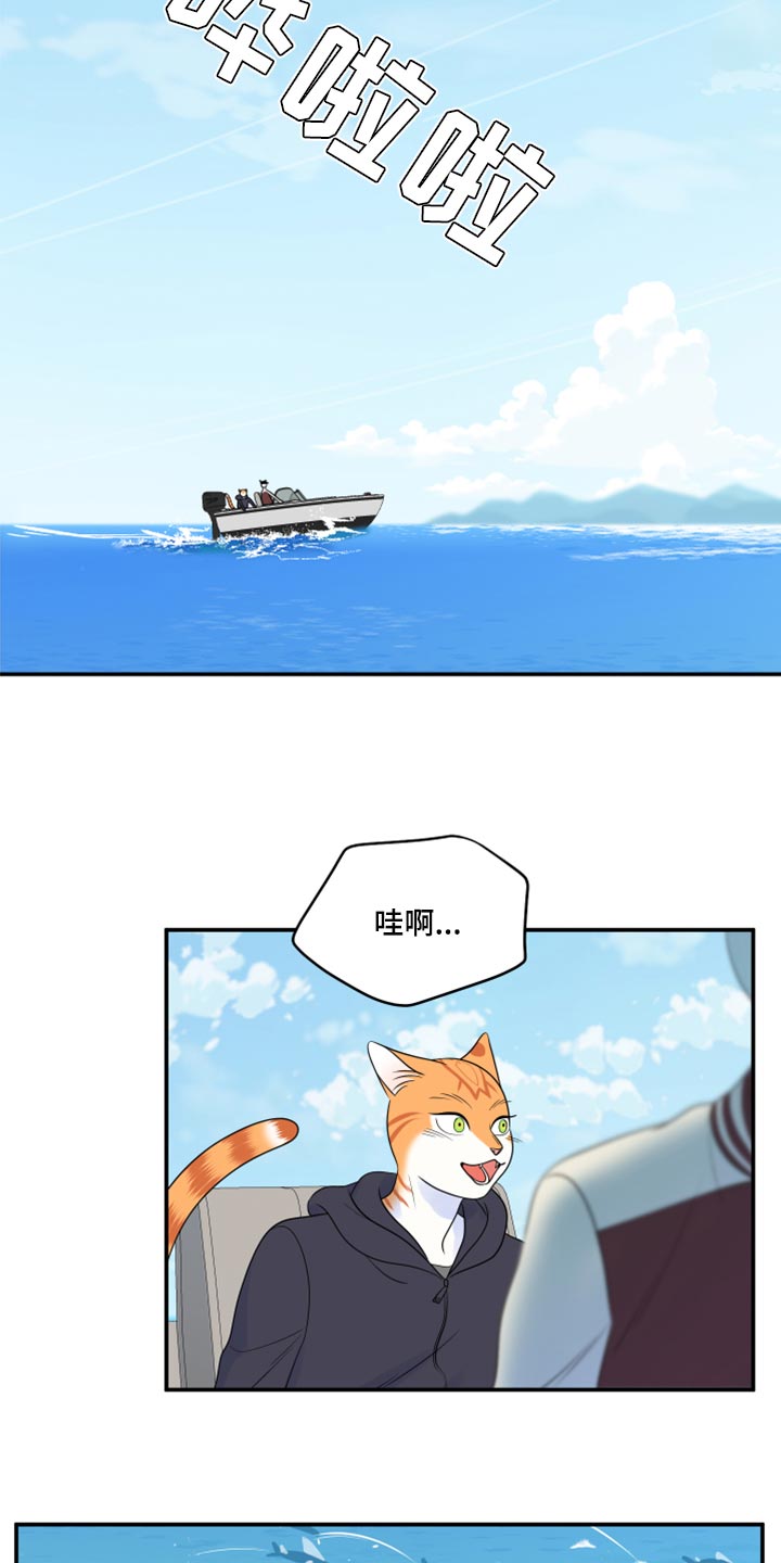 灵猫欧米伽又叫什么漫画,第60章：【第二季】失去理智1图