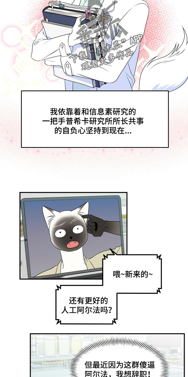 灵猫欧米伽第三季156章漫画,第57章：【第二季】新来的2图