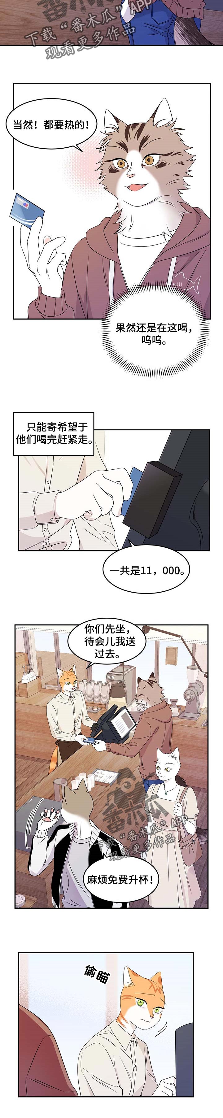 灵猫动漫漫画,第23章：担心1图