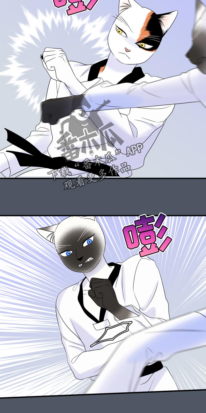 灵猫小说漫画,第76章：【第二季】有什么特别2图