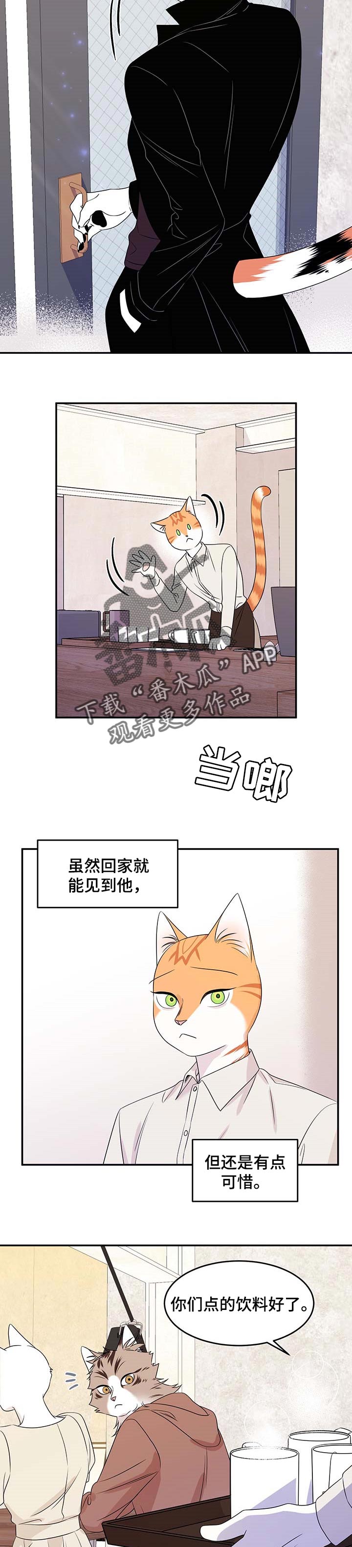 灵猫欧米伽漫画全集免费观看漫画,第24章：可惜2图