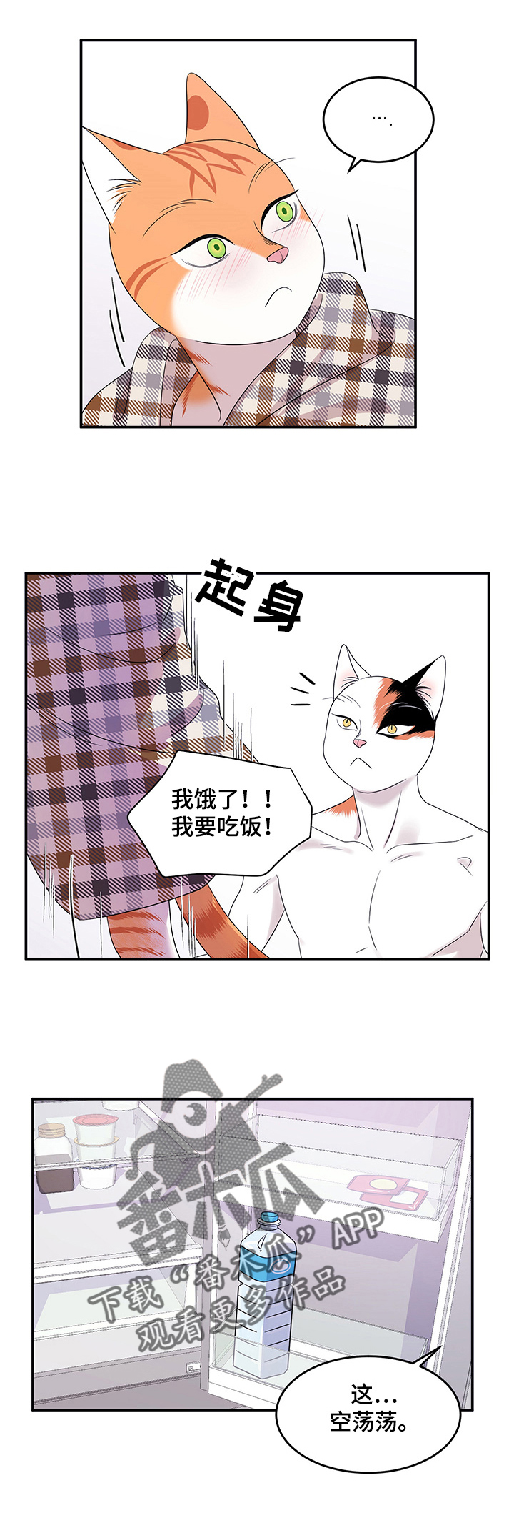 灵猫欧米伽漫画全集免费观看漫画,第8章：你醒了1图