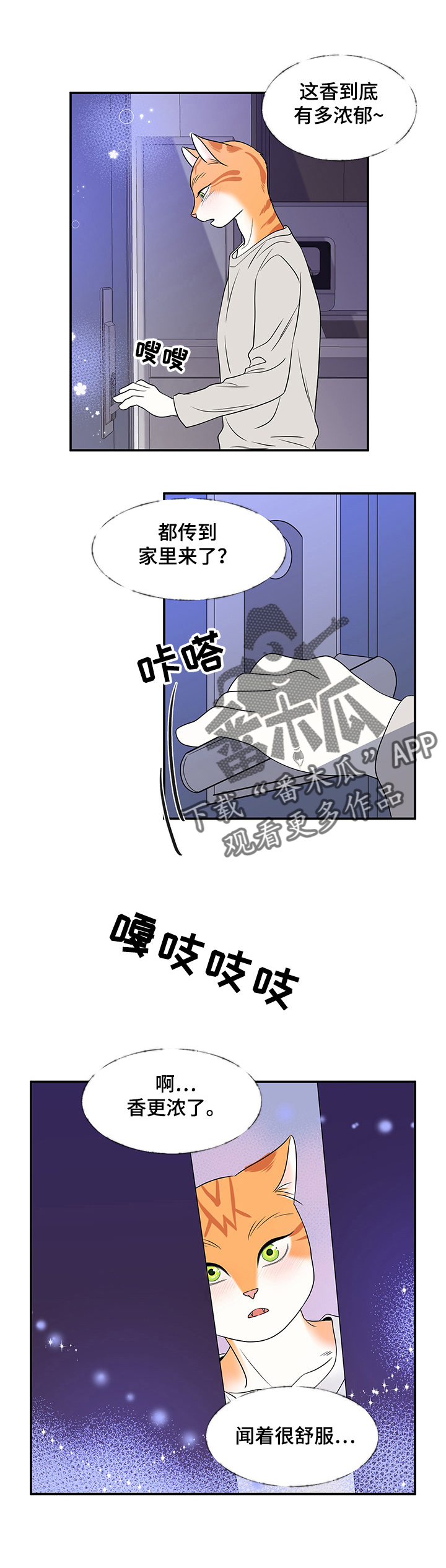 灵猫欧米伽是什么意思漫画,第3章：送抱1图