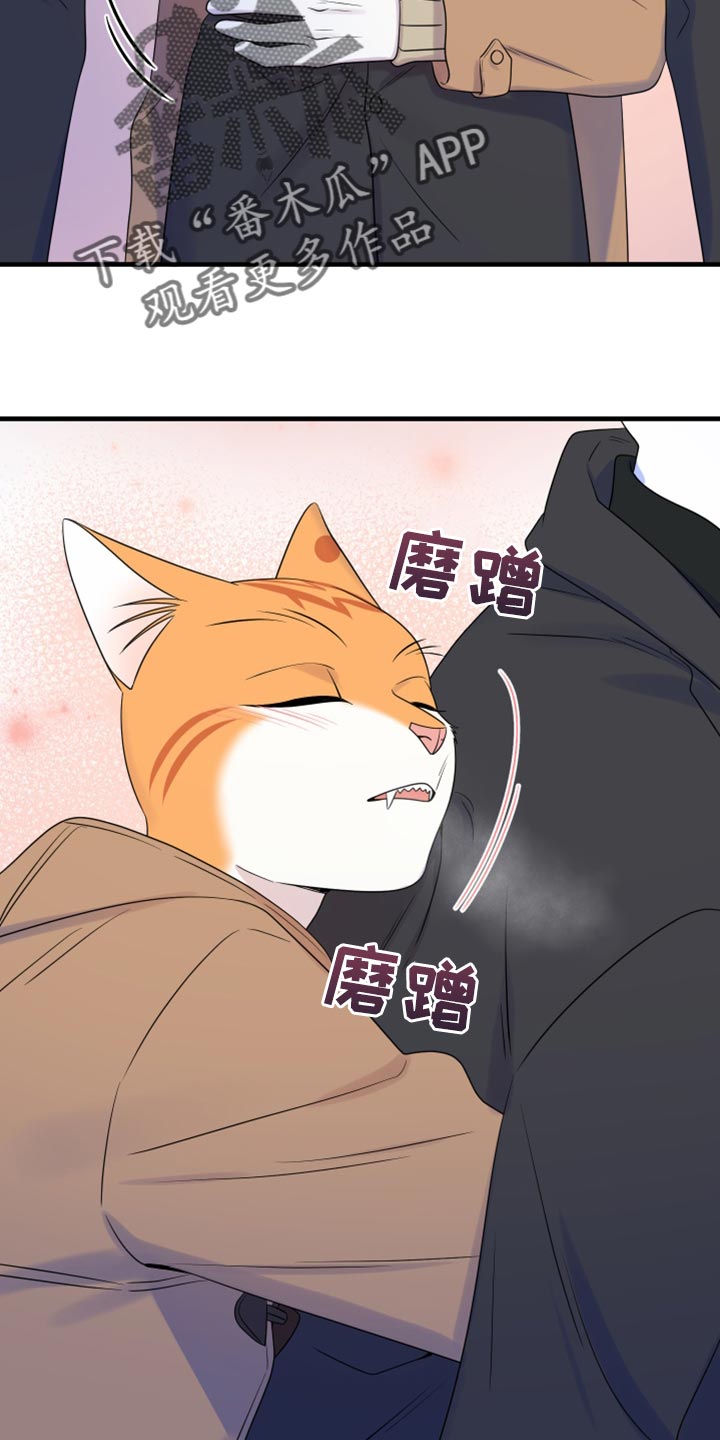 灵猫一起画画画漫画,第103章：【第二季】你身上有香味1图