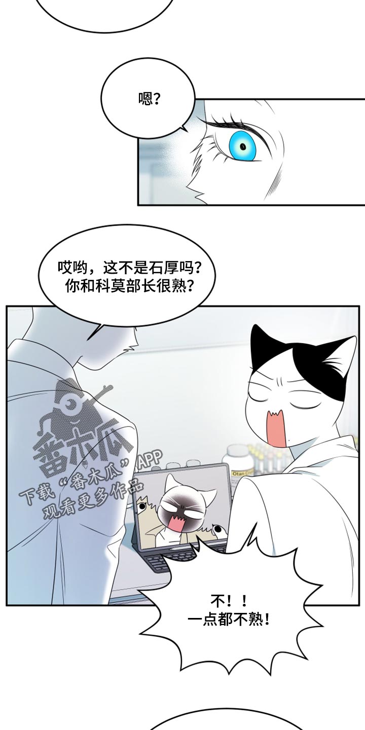 灵猫欧米伽完整版漫画,第57章：【第二季】新来的2图